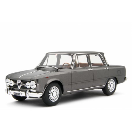 Alfa Romeo Giulia Super 1969 grey, Laudoracing-Model 1/18 scale